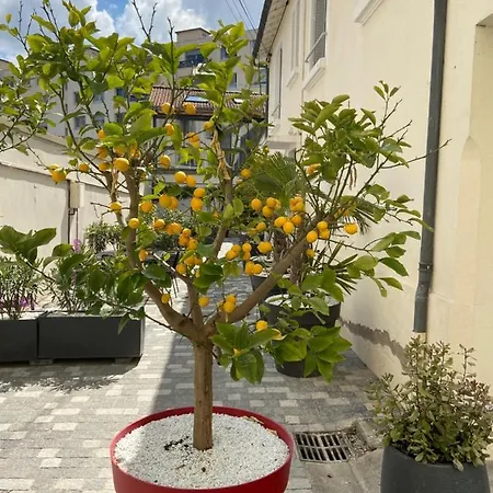 Appartamento Nid D F1 40m2 Calme Rdc